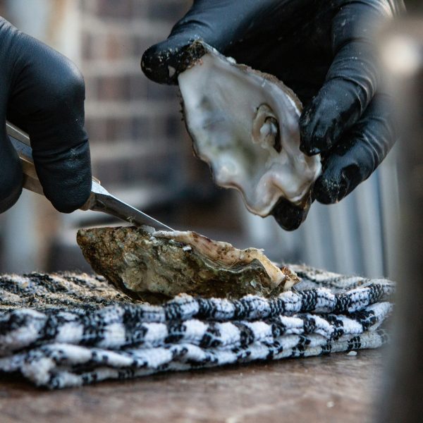 Sláinte!: The World Is My (Irish) Oyster