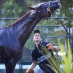 Funny Side takes a shower at Belmont the day before the race.