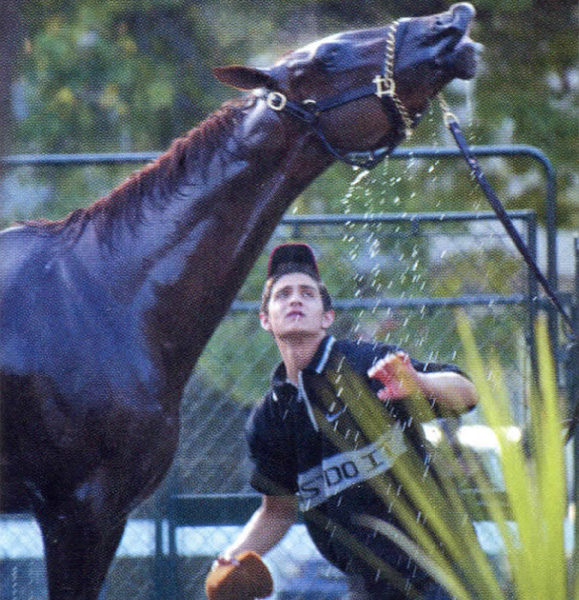 Funny Side takes a shower at Belmont the day before the race.