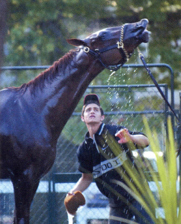 Funny Side takes a shower at Belmont the day before the race.