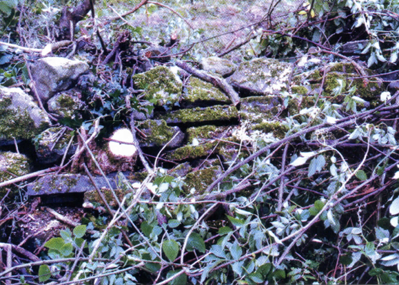 The remains of the old Tobin house.