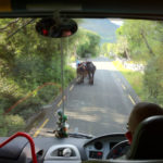 The view from the front of our CIE coach on the Ring of Kerry. All photos: Tara Dougherty and Sheila Langan.