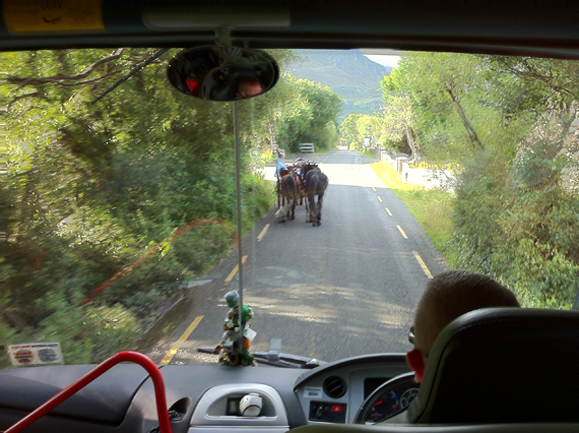 The view from the front of our CIE coach on the Ring of Kerry. All photos: Tara Dougherty and Sheila Langan.