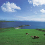 The green pastures of Kilcar. Courtesy of Tourism Ireland.