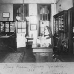 Sr. Mary Ignatius Feeney, the first woman pharmacist in Illinois