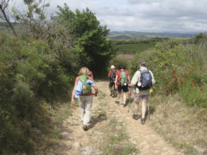 The old Roman Road. Photo: Honora Harty.