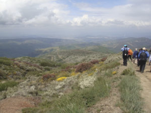 Mountain views on the trail. Photo: Honora Harty.