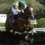 Barnstorming, with jockey Sean McDermott in the saddle, flies over the final fence to win the Michael D. Walsh Novice Stakes on Aug. 15 ay Saratoga. Photo: Skip Dickstein/Times Union.