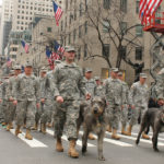 Clockwise: The New York 69th infantry battalion march in the St. Patrick’s Day Parade with Irish wolfhounds – the company’s mascots. Photo courtesy of Lt. Col. James Gonyo.