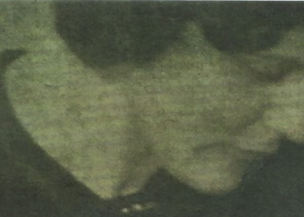 New Edition of John Kerr's "Cardigan Bay" (Review)