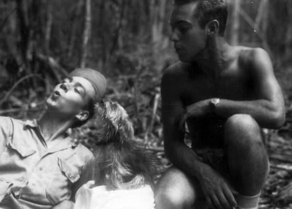 Smoky The Lucky War Dog