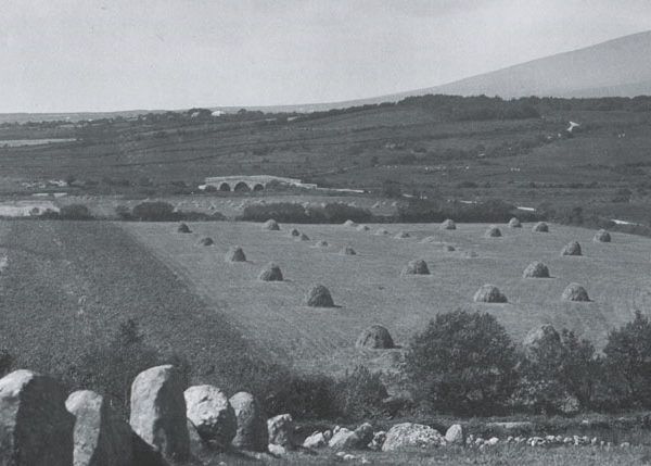 Ernie O’Malley’s Mayo