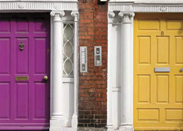 Sláinte! The Doors of Dublin