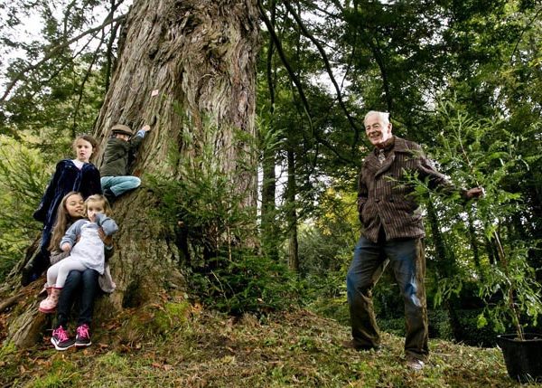 Birr Castle Plans Largest Redwood Grove Outside California (UPDATE)