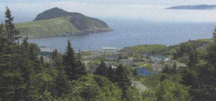 The Irish Loop | Irish America