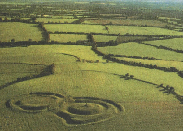 Tara’s Future in Jeopardy