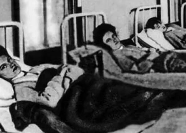 What You Didn’t Know About Typhoid Mary