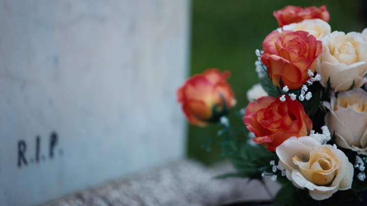 Flowers Rip Color NSU_Flowers_RIP_Production_Still