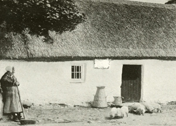 Sláinte! The Gentleman Who Pays the Rent