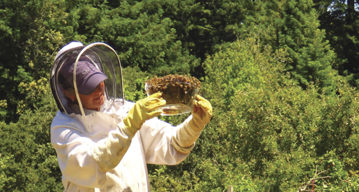 Beekeeper Honora Harty extracting honey