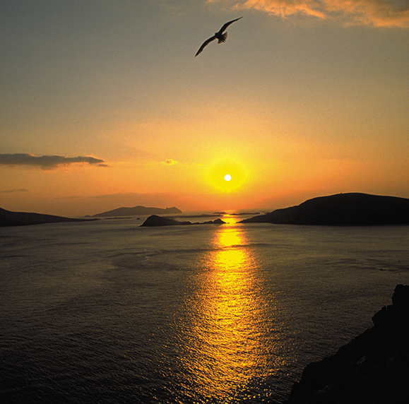 Sláinte! Midsummer’s Eve: St. John’s Day