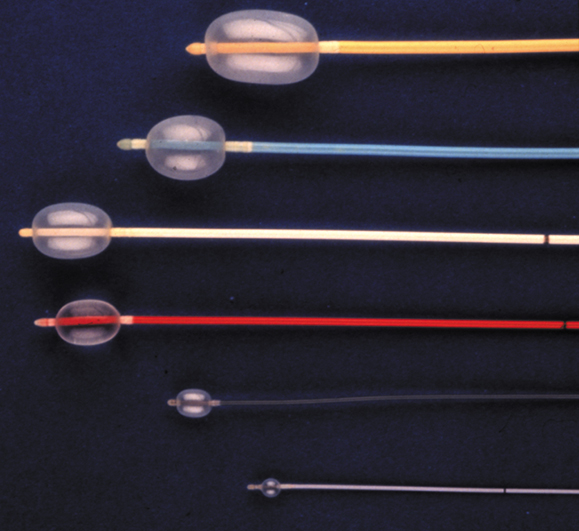 Fogarty Balloon Catheter Sizes At Alicia Schaaf Blog