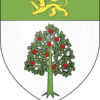 <b>Roots: Murphy, O'Murchu, and O'Murphy</b>