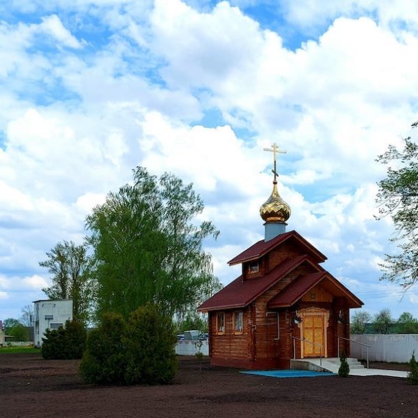 From Ireland: Politics, Health, Security, and Recognition