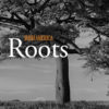Roots: Reynolds and Haughey