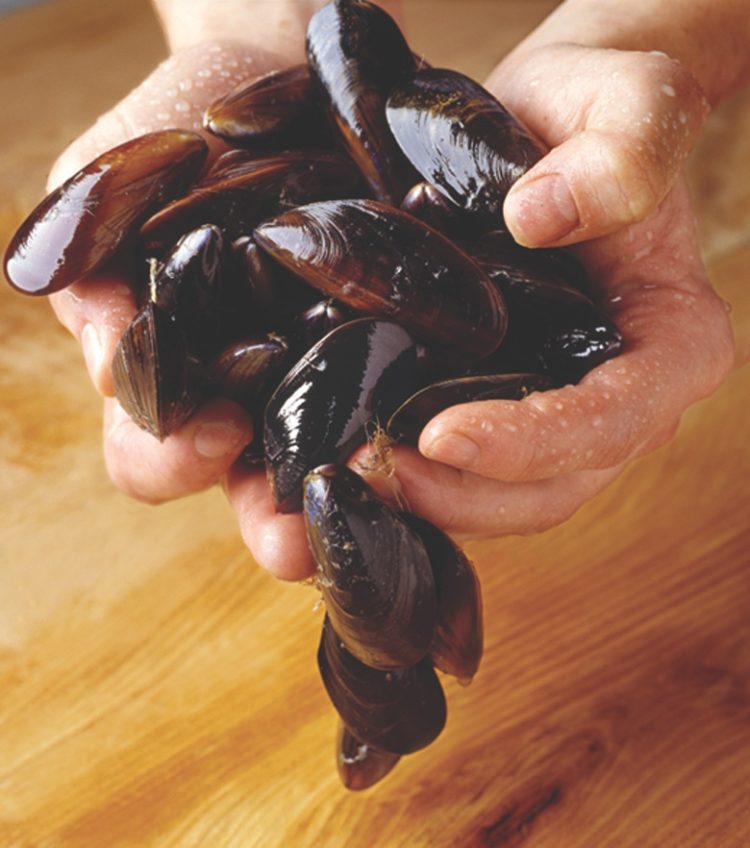 Cockles & Mussels, Alive, Aliveo!