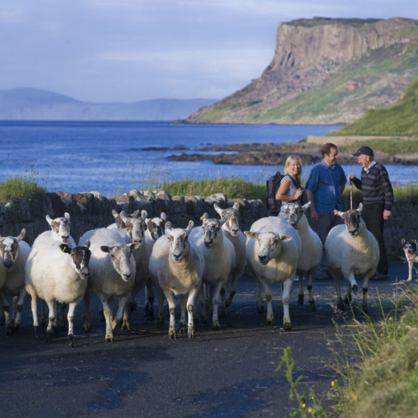 The ‘Craic’ is Back in Ireland