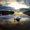 <b>Shannon The Heart of Ireland￼</b>