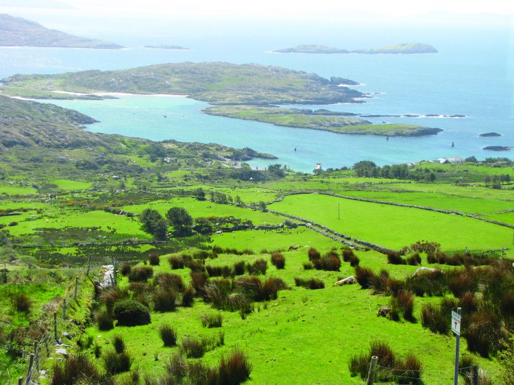 Daniel O’Connell His Legacy, His Impact, & His Home Irish America