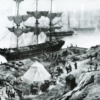 <b>Why Famine Came to Ireland</b>