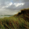 <b>The Connemara Prints</b>