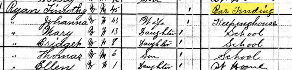 1880 census for Timothy Ryan and family (Ancestry)