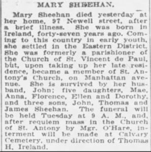 Mary Sheehan's obituary from The Standard Union newspaper, Brooklyn, NY, May 2, 1920.