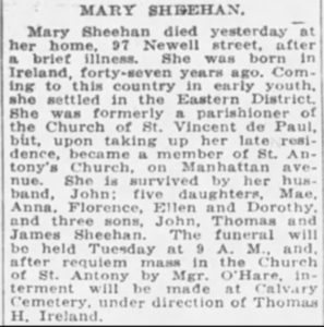 Mary Sheehan's obituary from The Standard Union newspaper, Brooklyn, NY, May 2, 1920.