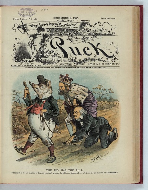 'The pig has the pull.' Commentary on the ascendancy of Irish parliamentarian Charles Stewart Parnell after the British general elections of 1885. Cartoon by Bernhard Gillam from Puck magazine, 1885.