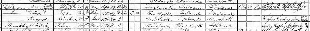 1900 U.S. Census entry for Julia Murphy, Chicago, Illinois (Ancestry)