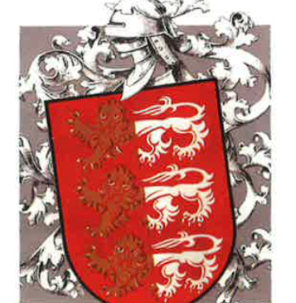 Roots: The O’Briens