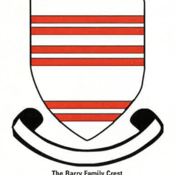 Irish Roots: Barry, Berry and Beirn 