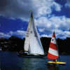 Travel 1991: Céad Míle Fáilte