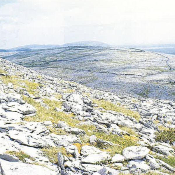 The Battle to Save the Burren