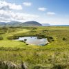 The Northerly Counties on The Wild Side